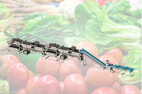 全自動(dòng)凈菜生產(chǎn)線(xiàn)