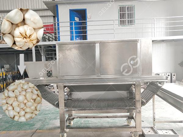 1632734500803397.jpg 大蒜去皮機(jī)-1.jpg