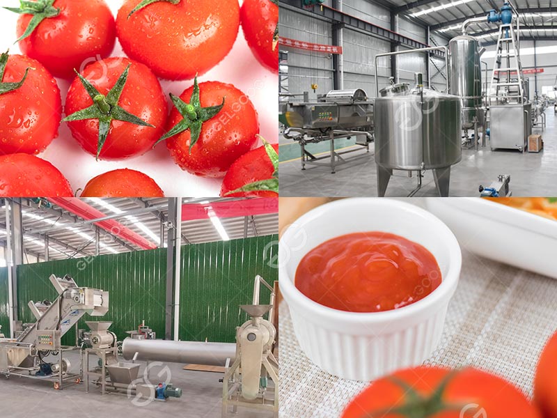 1702539578237199.jpg 番茄醬生產(chǎn)線3.jpg